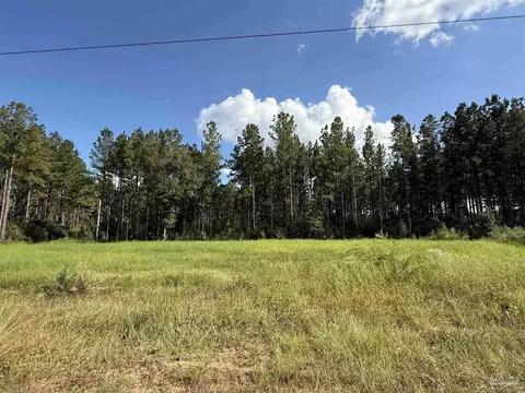 1359 Mineral Springs Rd, Jay, FL 32565