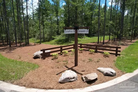 View/Area - 9107 Pine Preserve Ln, Pace, FL 32571 photo 3 of 4