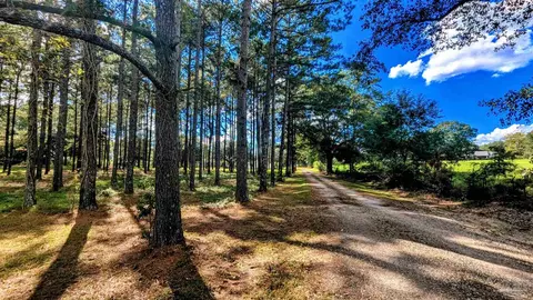 Other - 3171 Sam Sullivan Rd, Millry, AL 36558 photo 19 of 19