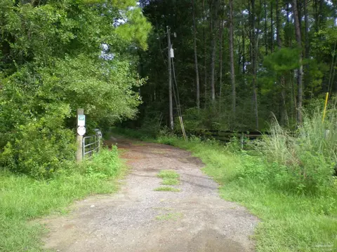 tbd Roche Avenu Private Rd, Vernon, FL 32462