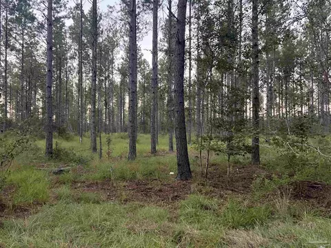 lot2 Wallace Lake Rd, Pace, FL 32571