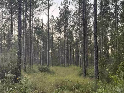 lot3 Wallace Lake Rd, Pace, FL 32571