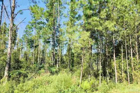 9209 Sage Forest Ln, Pace, FL 32571 photo 14