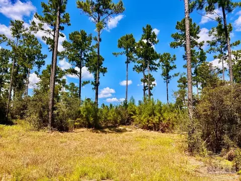 lot1 Morgans Br, Molino, FL 32577