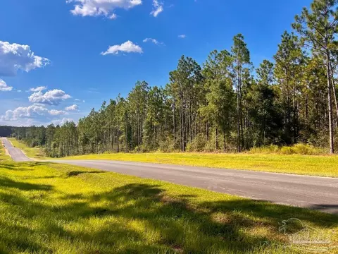 lot5 Morgans Br, Molino, FL 32577