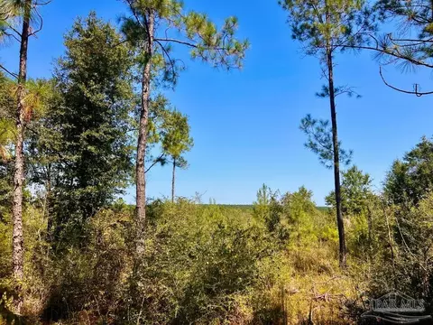 lot6 Sounder Dr, Molino, FL 32577