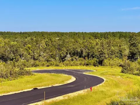 lot8 Sounder Dr, Molino, FL 32577