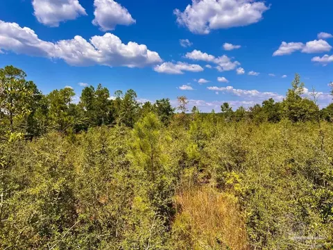 lot12 Morgans Br, Molino, FL 32577