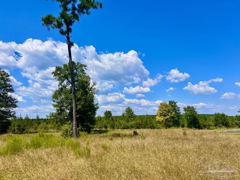 lot14 Morgans Br, Molino, FL 32577