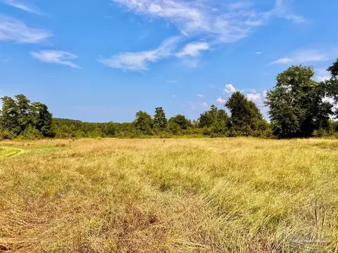 lot17 Morgans Br, Molino, FL 32577