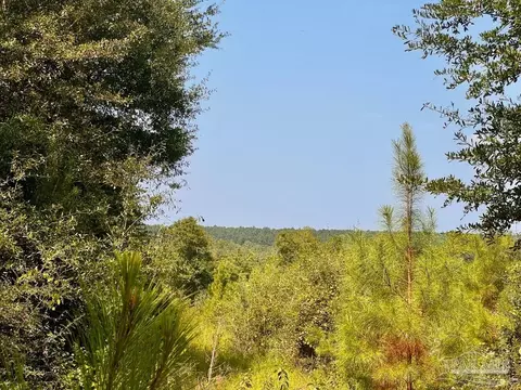 lot18 Morgans Br, Molino, FL 32577
