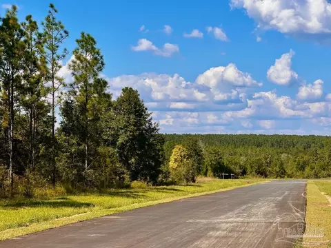 lot20 Morgans Br, Molino, FL 32577
