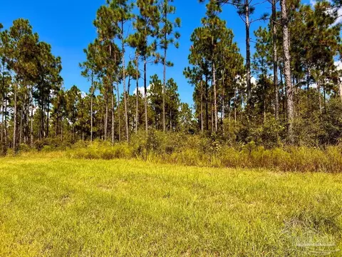 lot21 Morgans Br, Molino, FL 32577