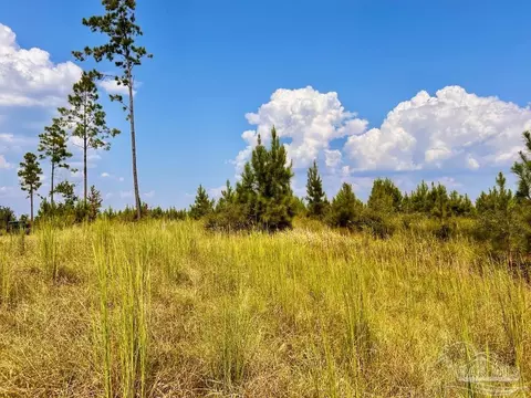 lot22 Morgans Br, Molino, FL 32577