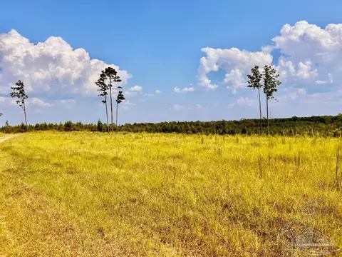 lot23 Morgans Br, Molino, FL 32577
