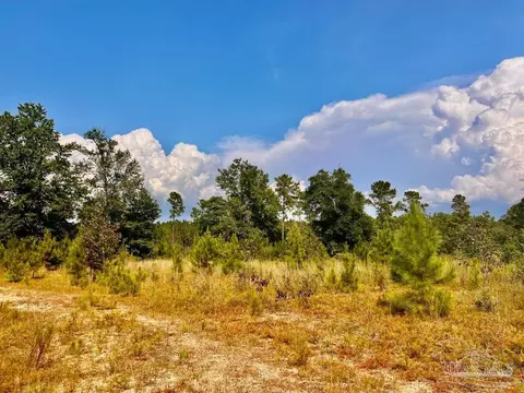 lot32 Morgans Br, Molino, FL 32577