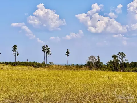 lot25 Morgans Br, Molino, FL 32577