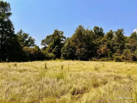 lot28 Morgans Br, Molino, FL 32577