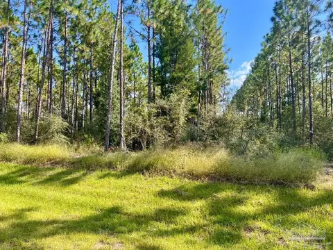 lot29 Morgans Br, Molino, FL 32577