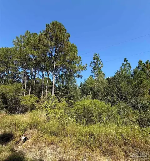 7924 Parker Rd, Milton, FL 32570