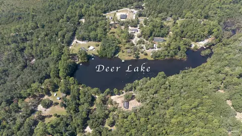 11290 Squirrel Trl, Milton, FL 32583 photo 5
