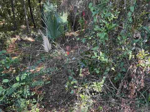6010 Otter Point Rd, Pensacola, FL 32504