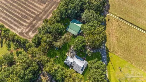 View/Area - 8240 Tidwell Rd, Pace, FL 32571 photo 9 of 10
