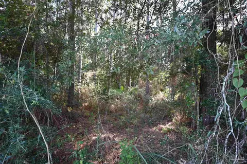 6417 Dickerson City Rd, Milton, FL 32583