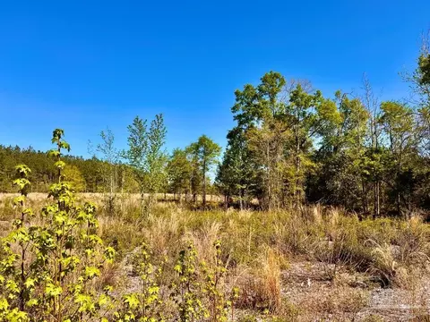 lot14 SW Bashi Rd, Pace, FL 32571 photo 23