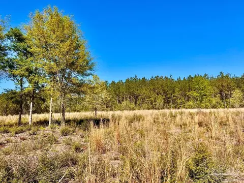 lot14 SW Bashi Rd, Pace, FL 32571 photo 14
