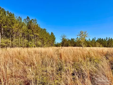 lot14 SW Bashi Rd, Pace, FL 32571 photo 15