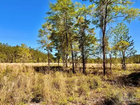 lot14 SW Bashi Rd, Pace, FL 32571 photo 21