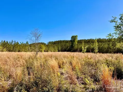 lot14 SW Bashi Rd, Pace, FL 32571 photo 16