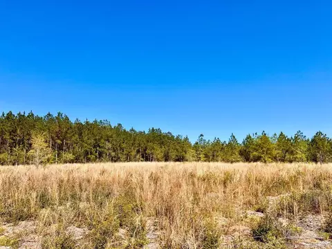 lot14 SW Bashi Rd, Pace, FL 32571 photo 2