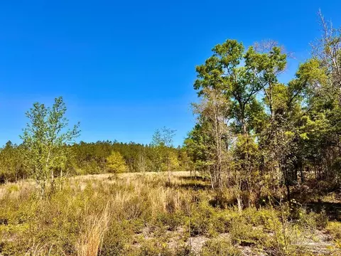lot14 SW Bashi Rd, Pace, FL 32571 photo 24
