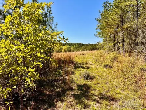 lot14 SW Bashi Rd, Pace, FL 32571 photo 13