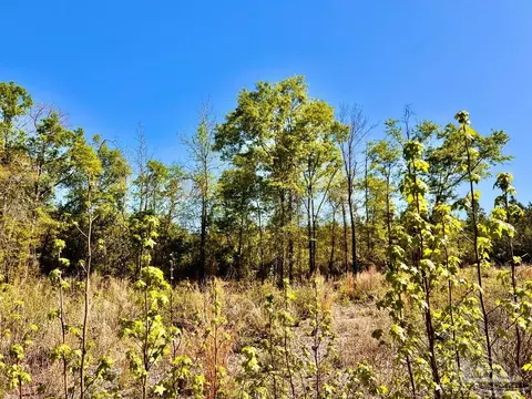 lot14 SW Bashi Rd, Pace, FL 32571 photo 19