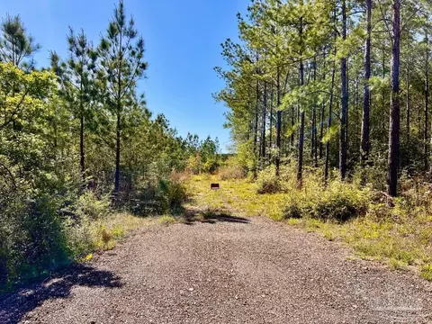 lot14 SW Bashi Rd, Pace, FL 32571 photo 12