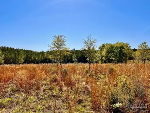 lot14 SW Bashi Rd, Pace, FL 32571 photo 27