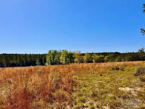 lot14 SW Bashi Rd, Pace, FL 32571 photo 29