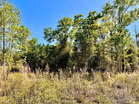 lot14 SW Bashi Rd, Pace, FL 32571 photo 18
