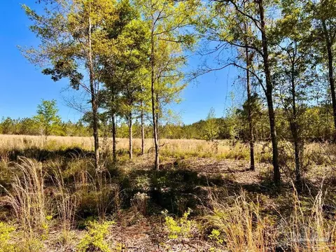 lot14 SW Bashi Rd, Pace, FL 32571 photo 20