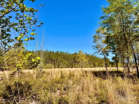 lot14 SW Bashi Rd, Pace, FL 32571 photo 22