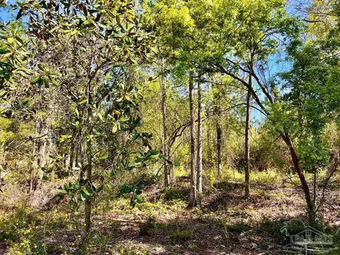 lot14 SW Bashi Rd, Pace, FL 32571 photo 25