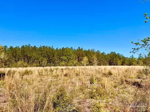 lot14 SW Bashi Rd, Pace, FL 32571 photo 17