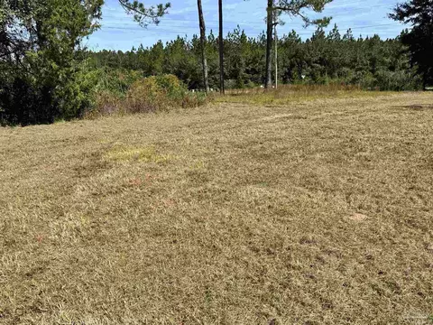 6041 Hwy 97 A, Mcdavid, FL 32568 photo 54