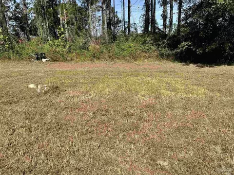 6041 Hwy 97 A, Mcdavid, FL 32568 photo 53