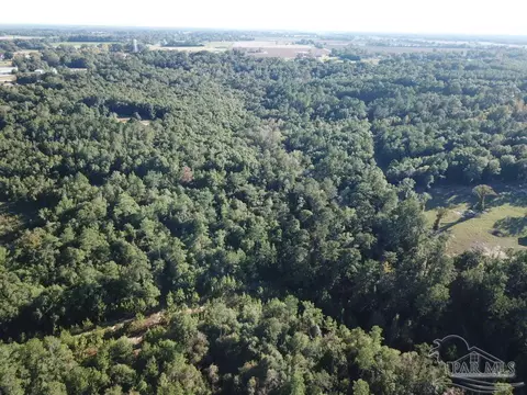 8 Acres Wiley Scott Rd, Jay, FL 32565