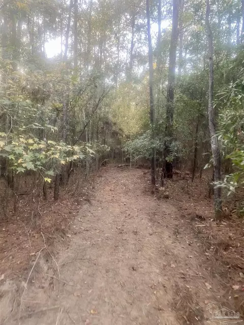 8 55 Acres Hwy 4, Jay, FL 32565 photo 5