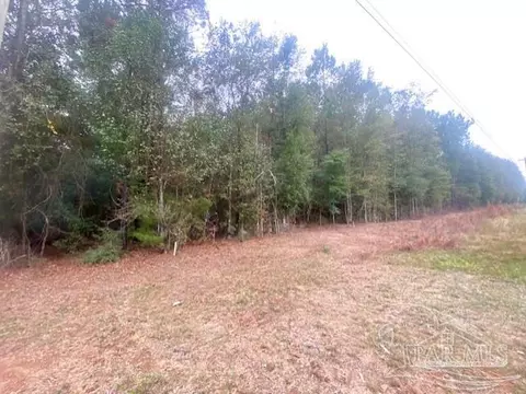 8 55 Acres Hwy 4, Jay, FL 32565 photo 7